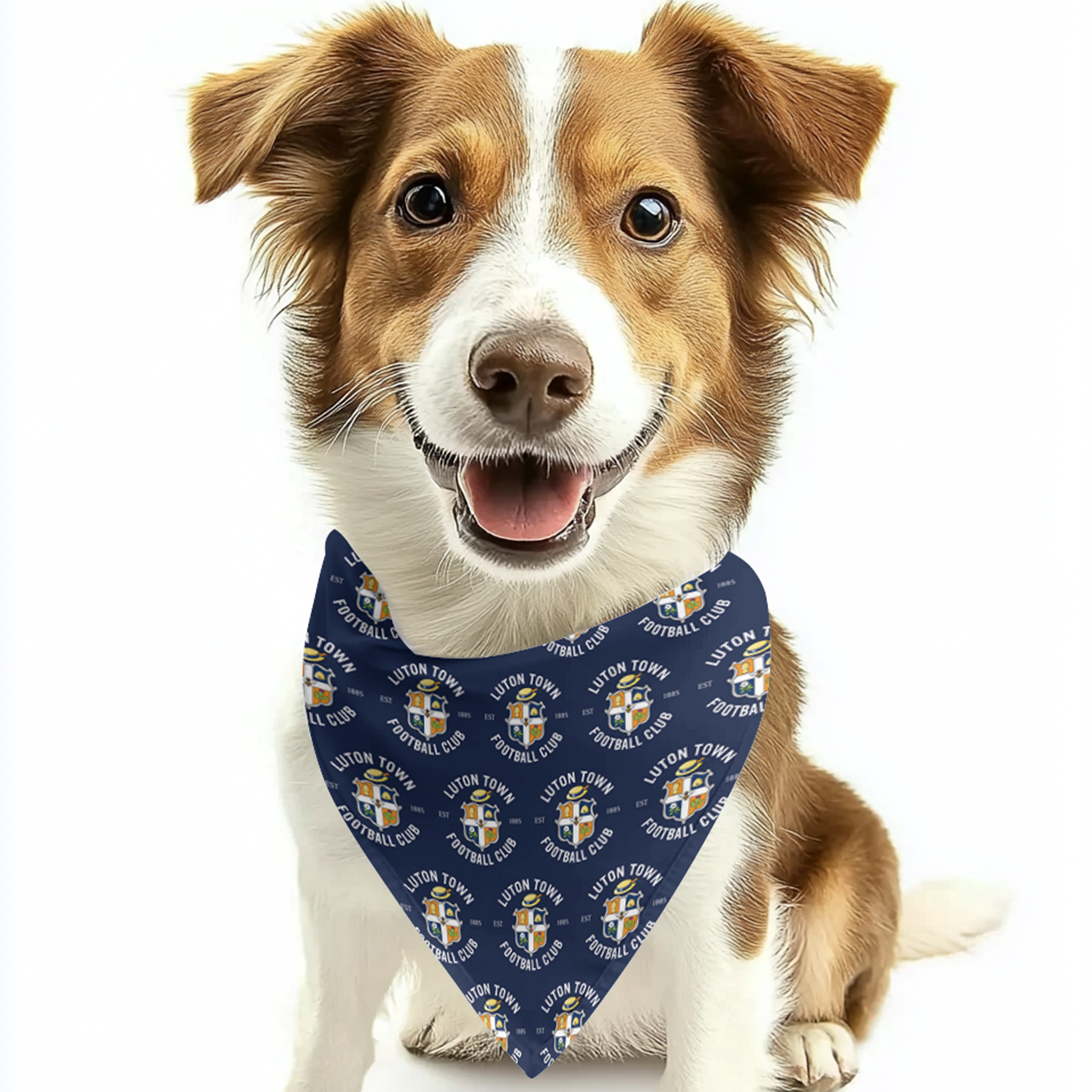 LTFC Dog Bandana