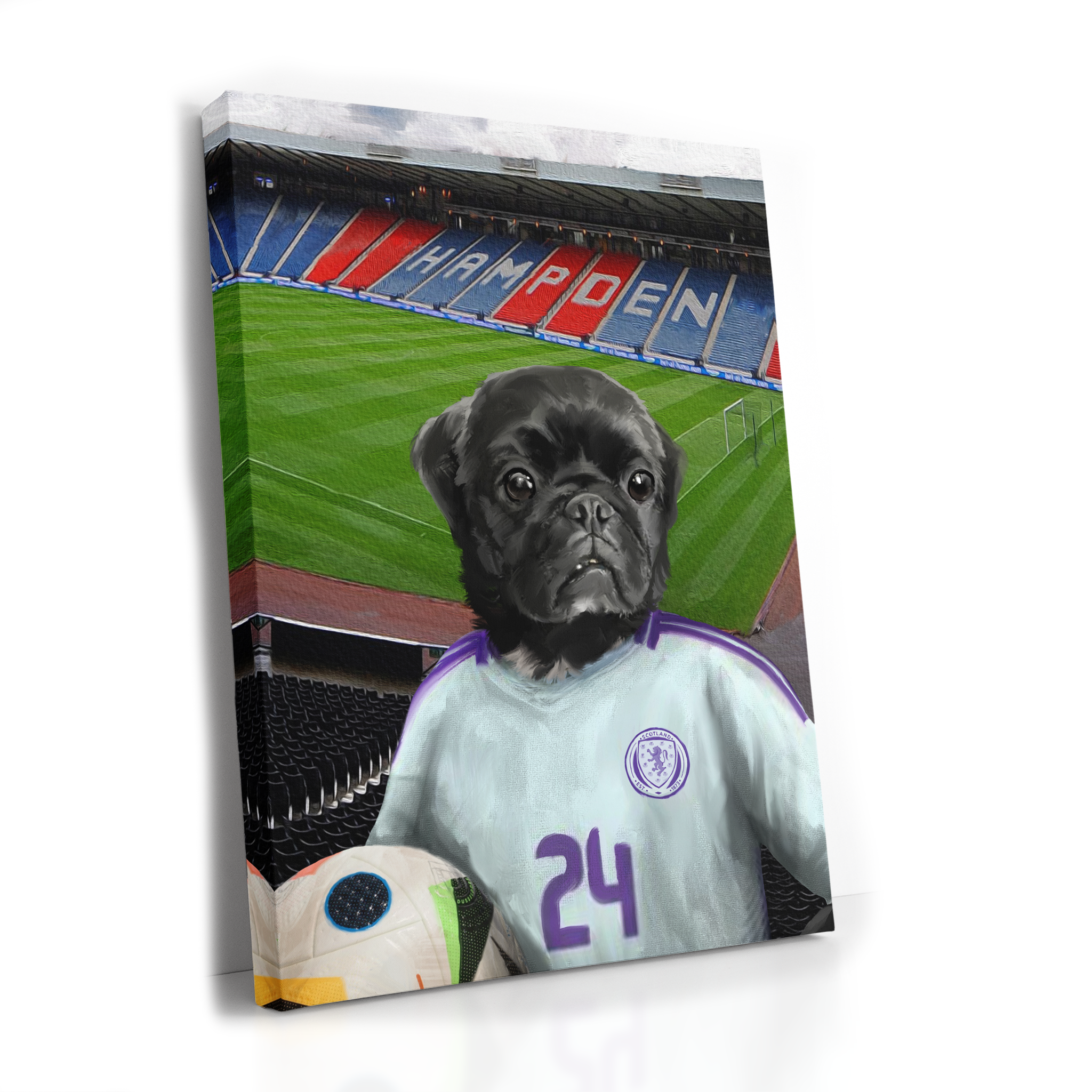 Your Pet in a Scotland Away Shirt inside Hampden Park