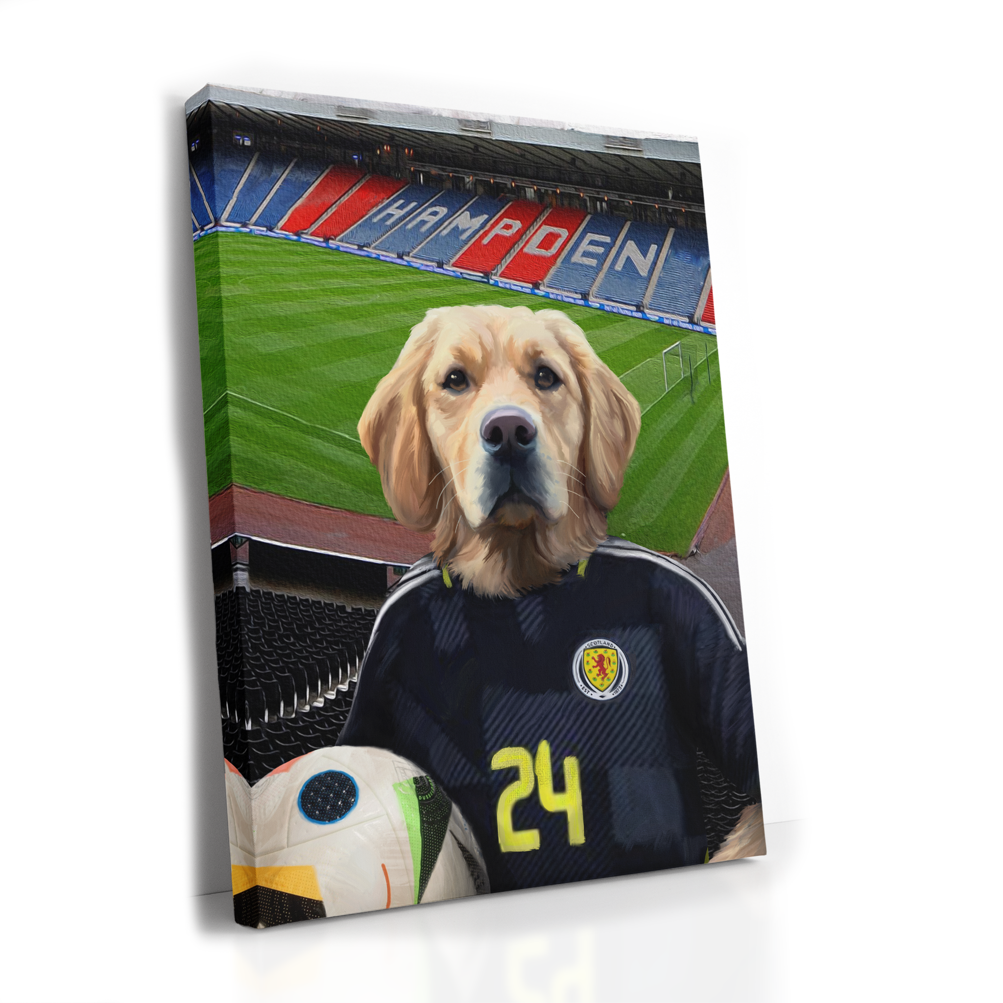 Your Pet in a Scotland Home Shirt inside Hampden Park