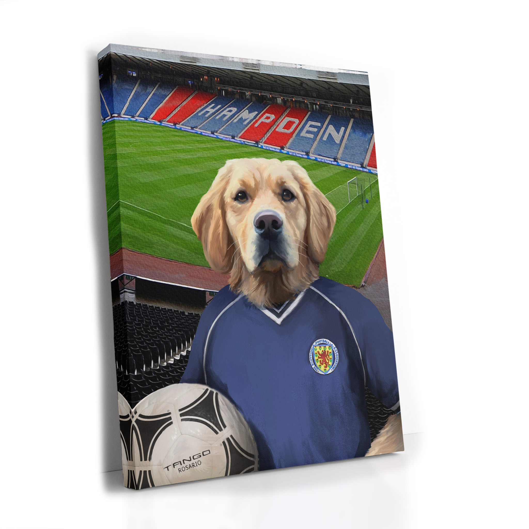Your Pet in a Scotland 81 Home Shirt inside Hampden Park