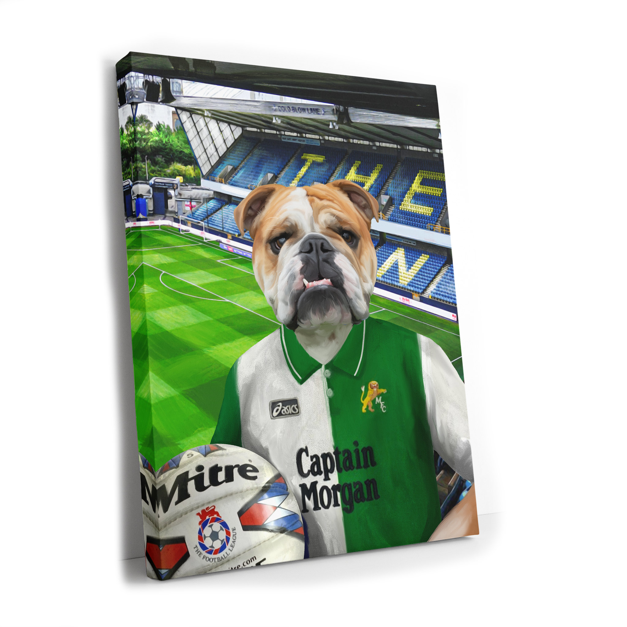 Your Pet in a Millwall 1995 Away Shirt inside the Den