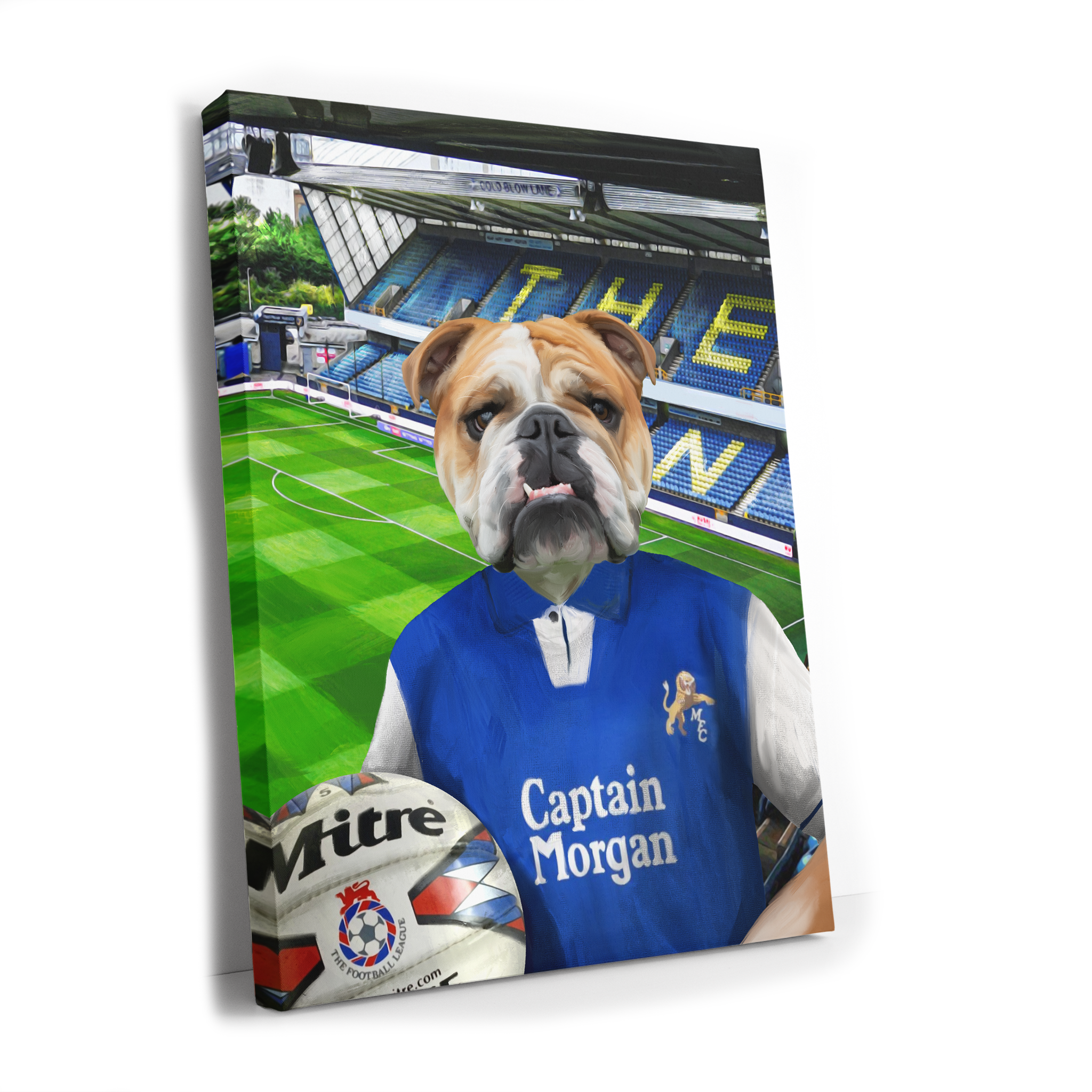 Your Pet in a Millwall 1996 Home Shirt inside the Den