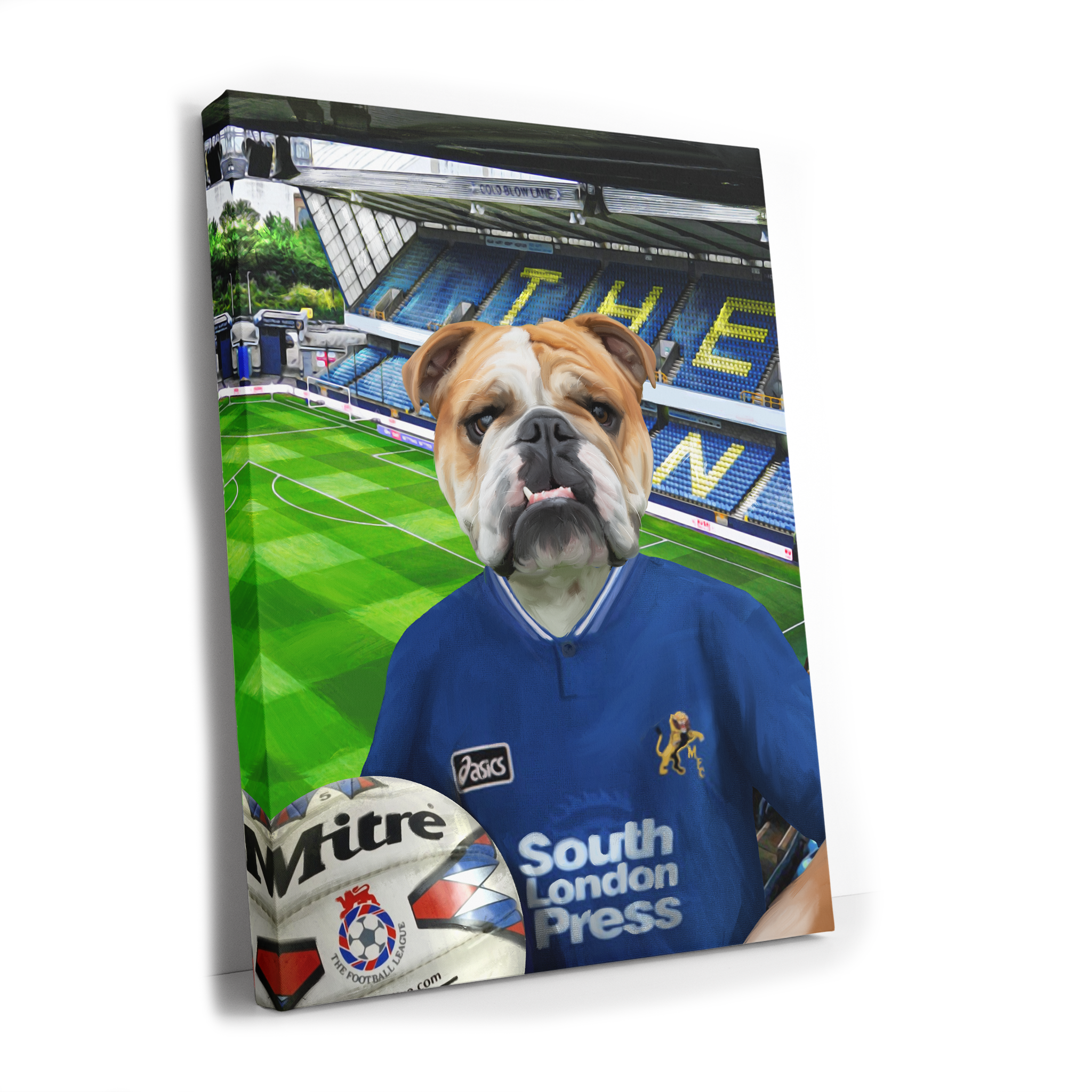 Your Pet in a Millwall 1997 Home Shirt inside the Den