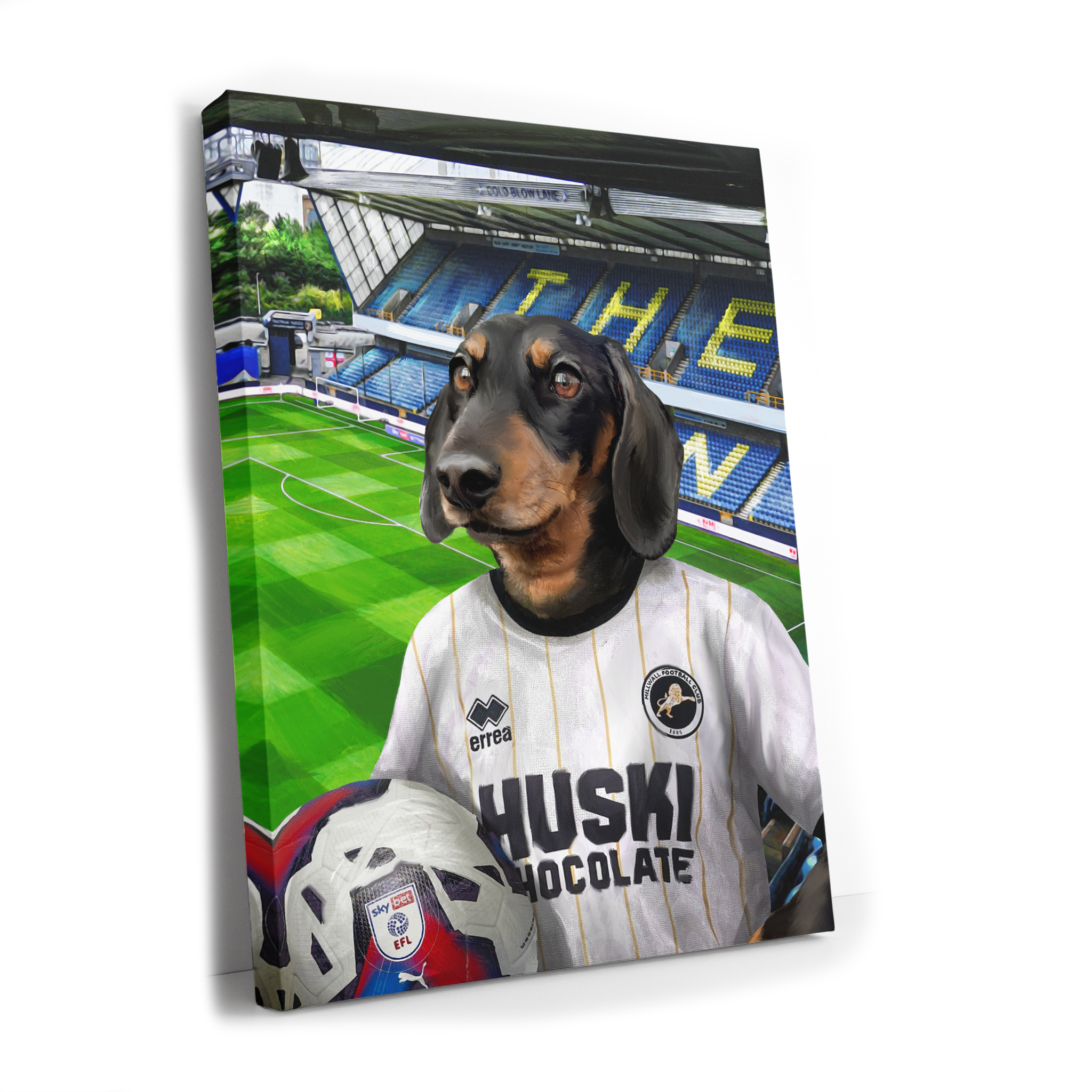 Your Pet in a Millwall 24/25 Away Shirt inside the Den