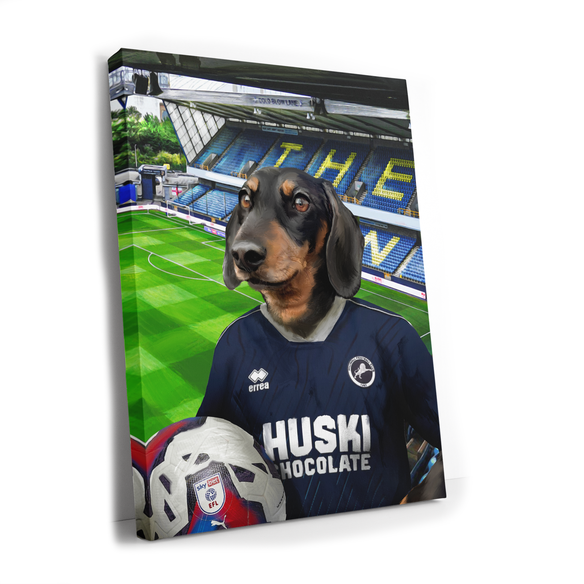 Your Pet in a Millwall 24/25 Home Shirt inside the Den