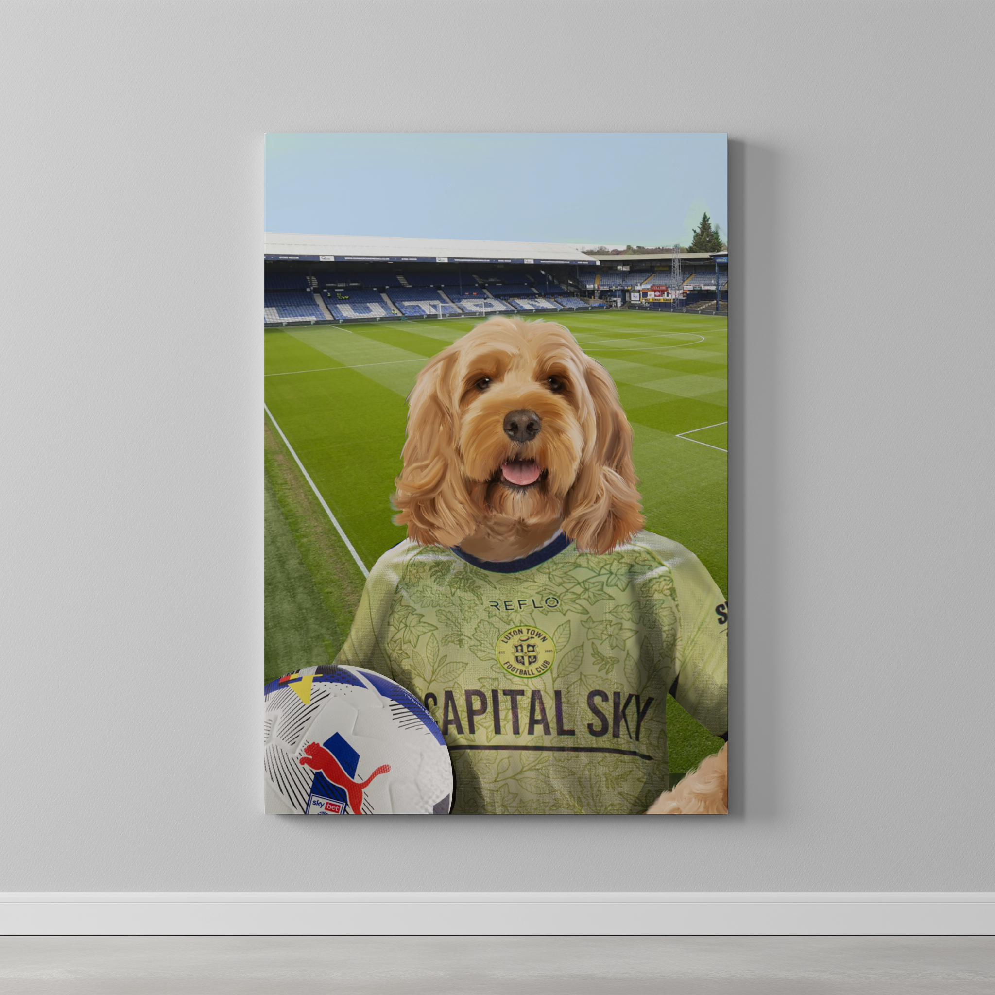 Your Pet in a Luton Town 25/26 3rd Shirt