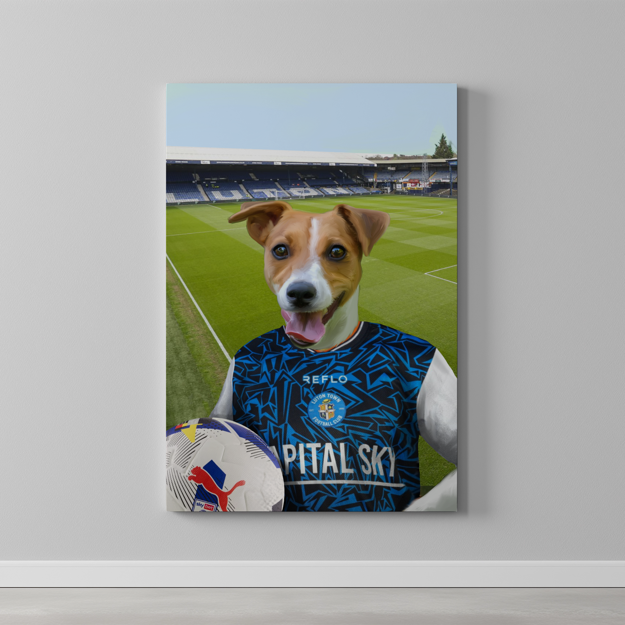Your Pet in a Luton Town 25/26 Away Shirt