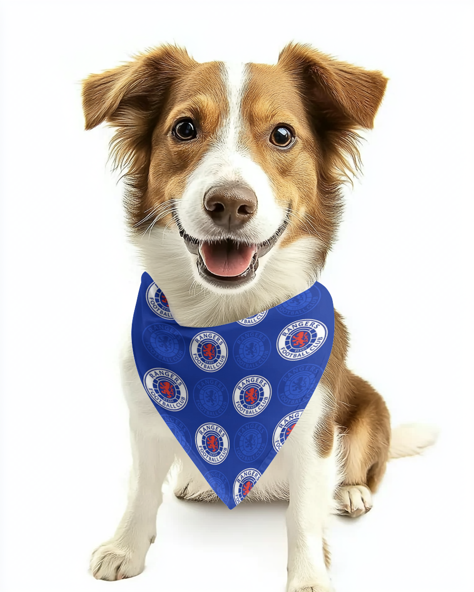 Rangers Dog Bandana