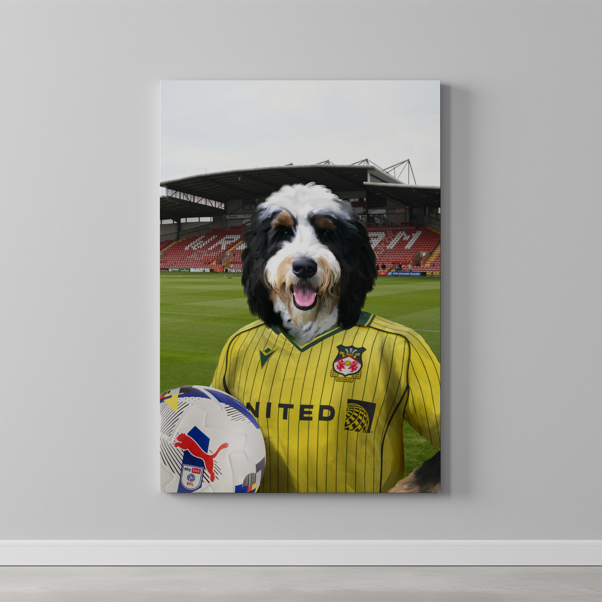 Your Pet in a Wrexham 25/26 Away Shirt