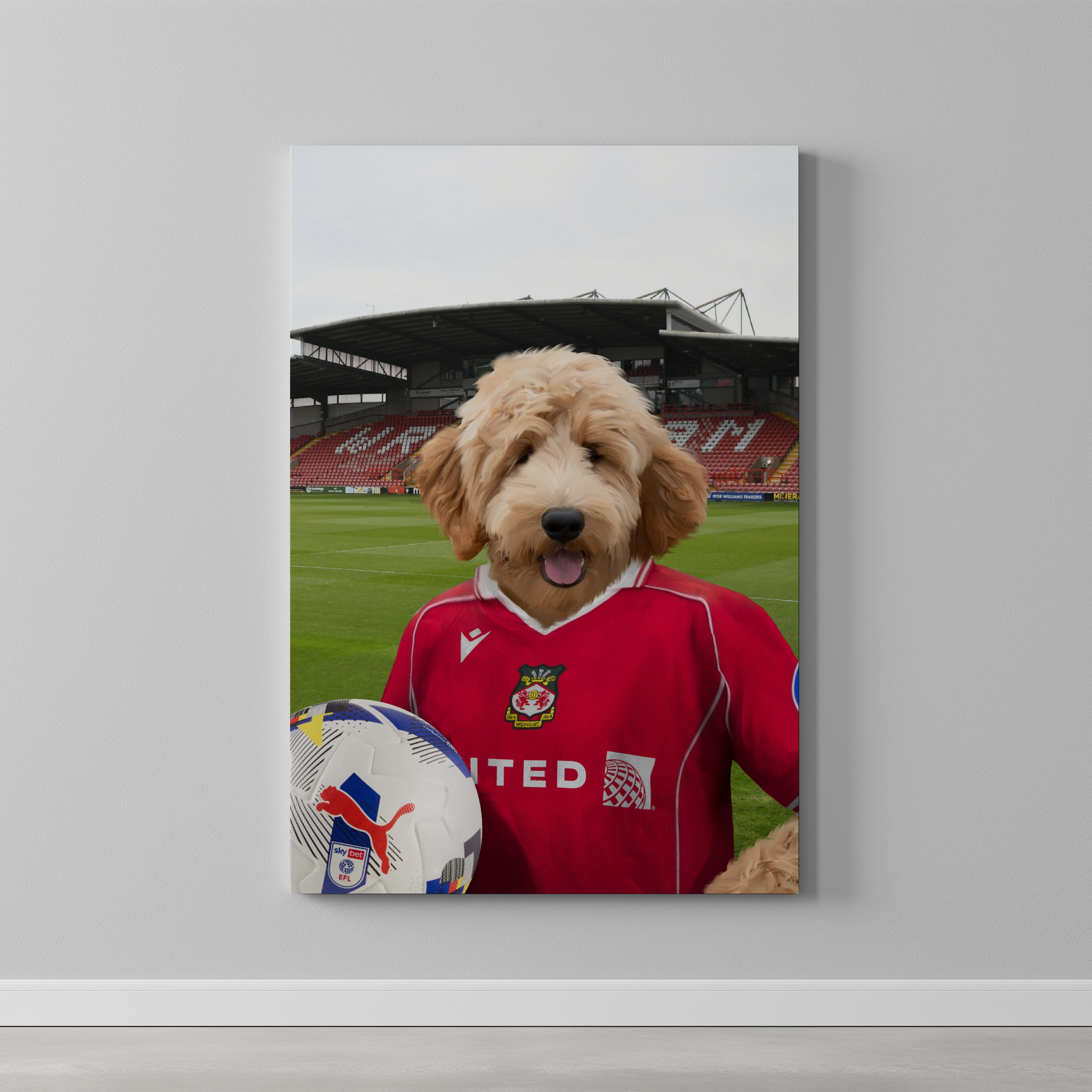 Your Pet in a Wrexham 25/26 Home Shirt
