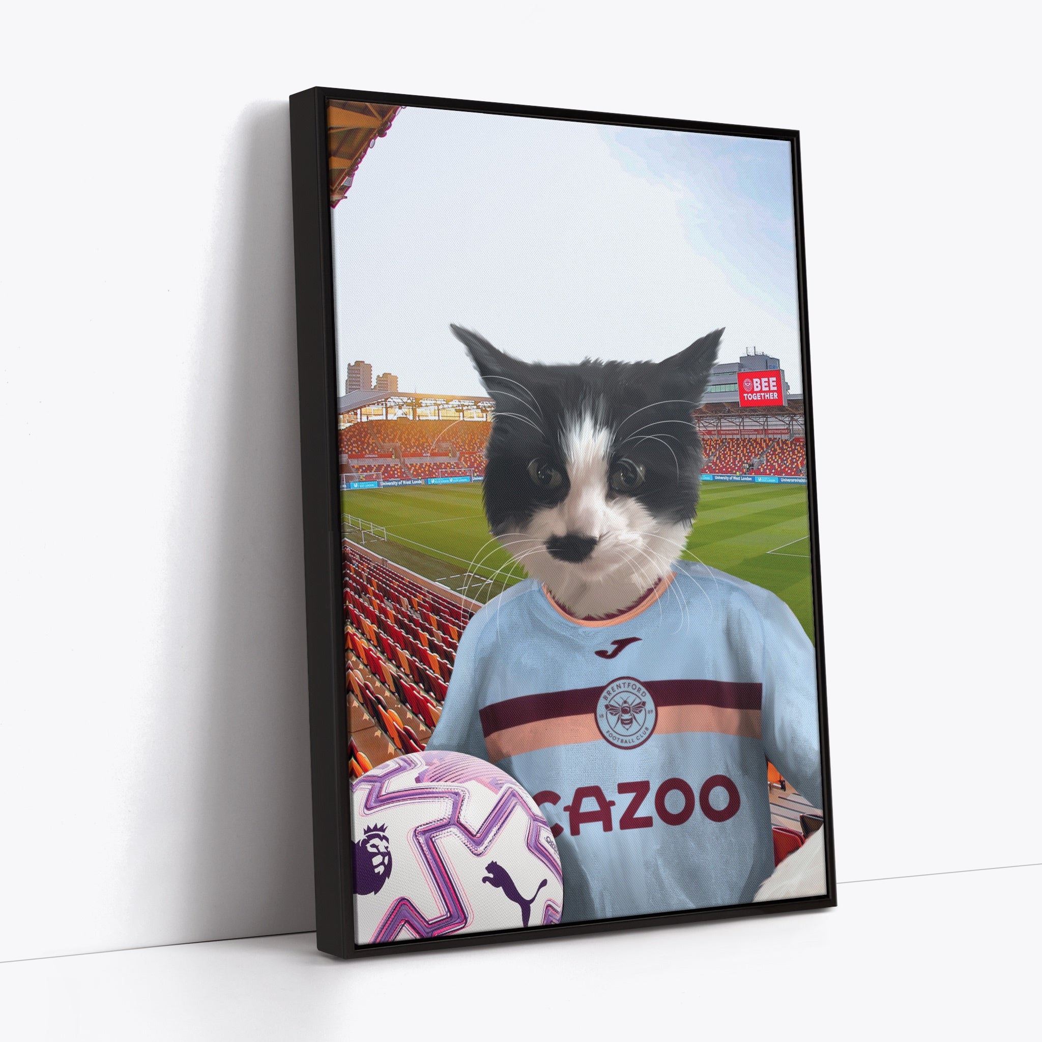 Your Pet in a Brentford FC 3rd Kids Shirt 2025/26