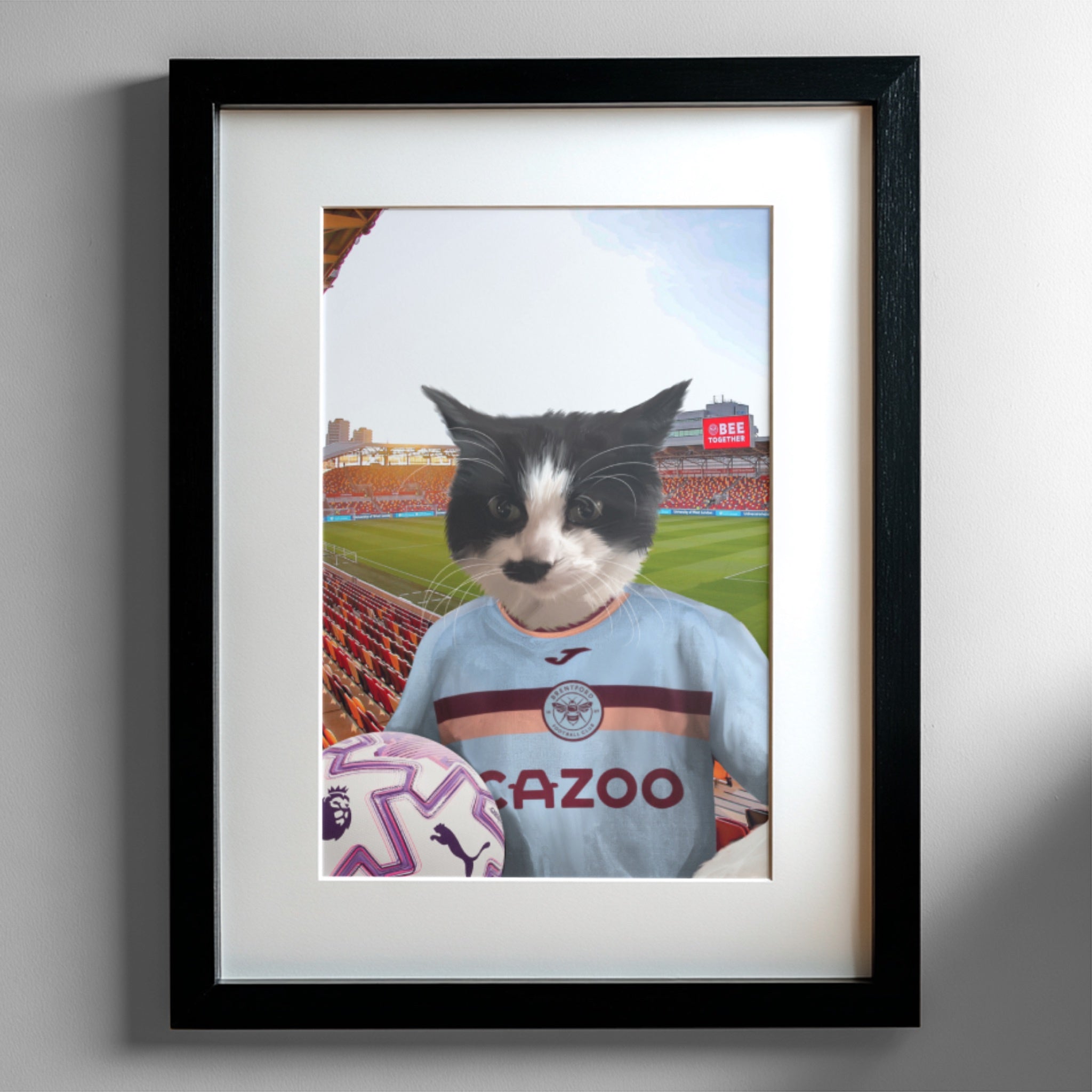 Your Pet in a Brentford FC 3rd Kids Shirt 2025/26