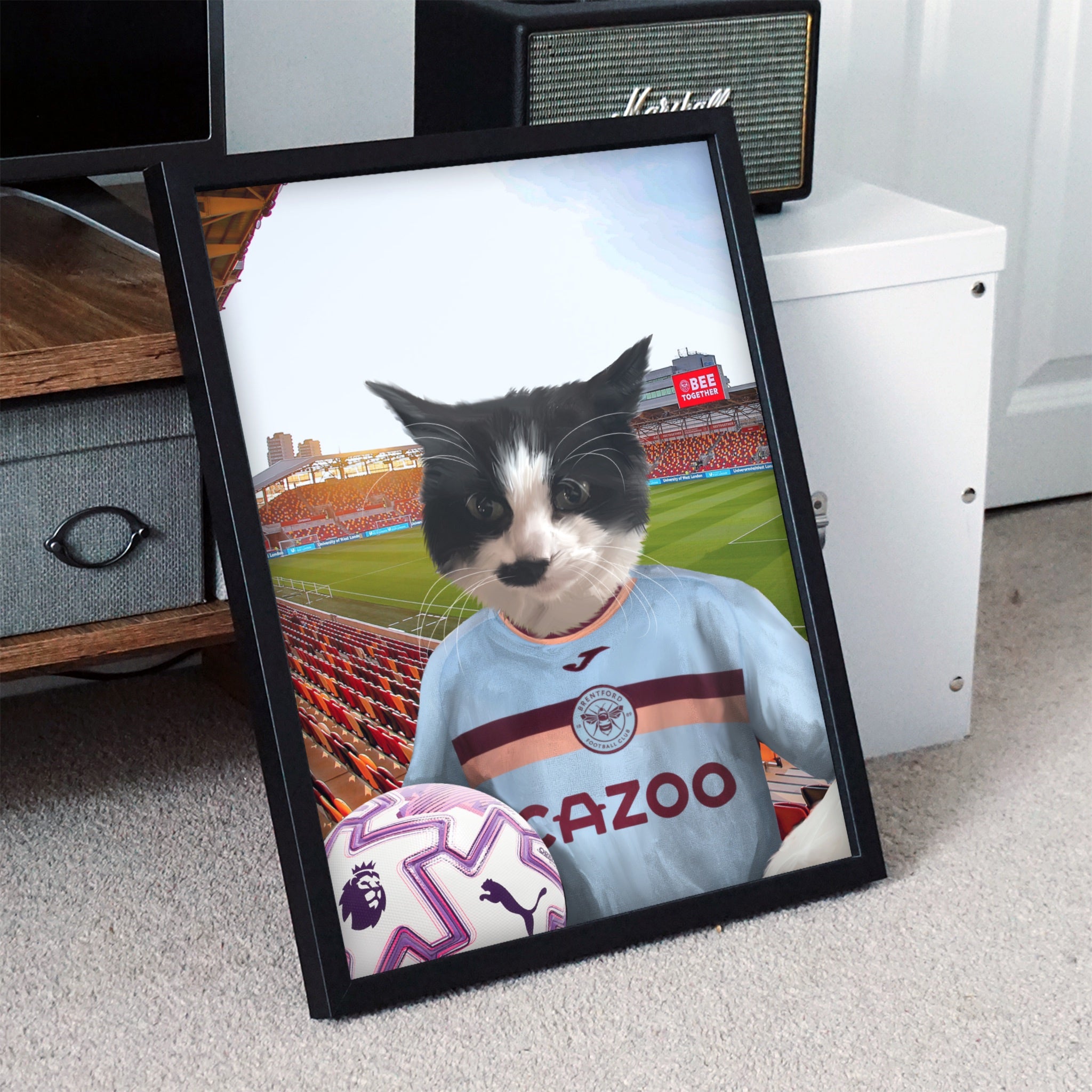 Your Pet in a Brentford FC 3rd Kids Shirt 2025/26