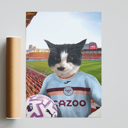 Your Pet in a Brentford FC 3rd Kids Shirt 2025/26
