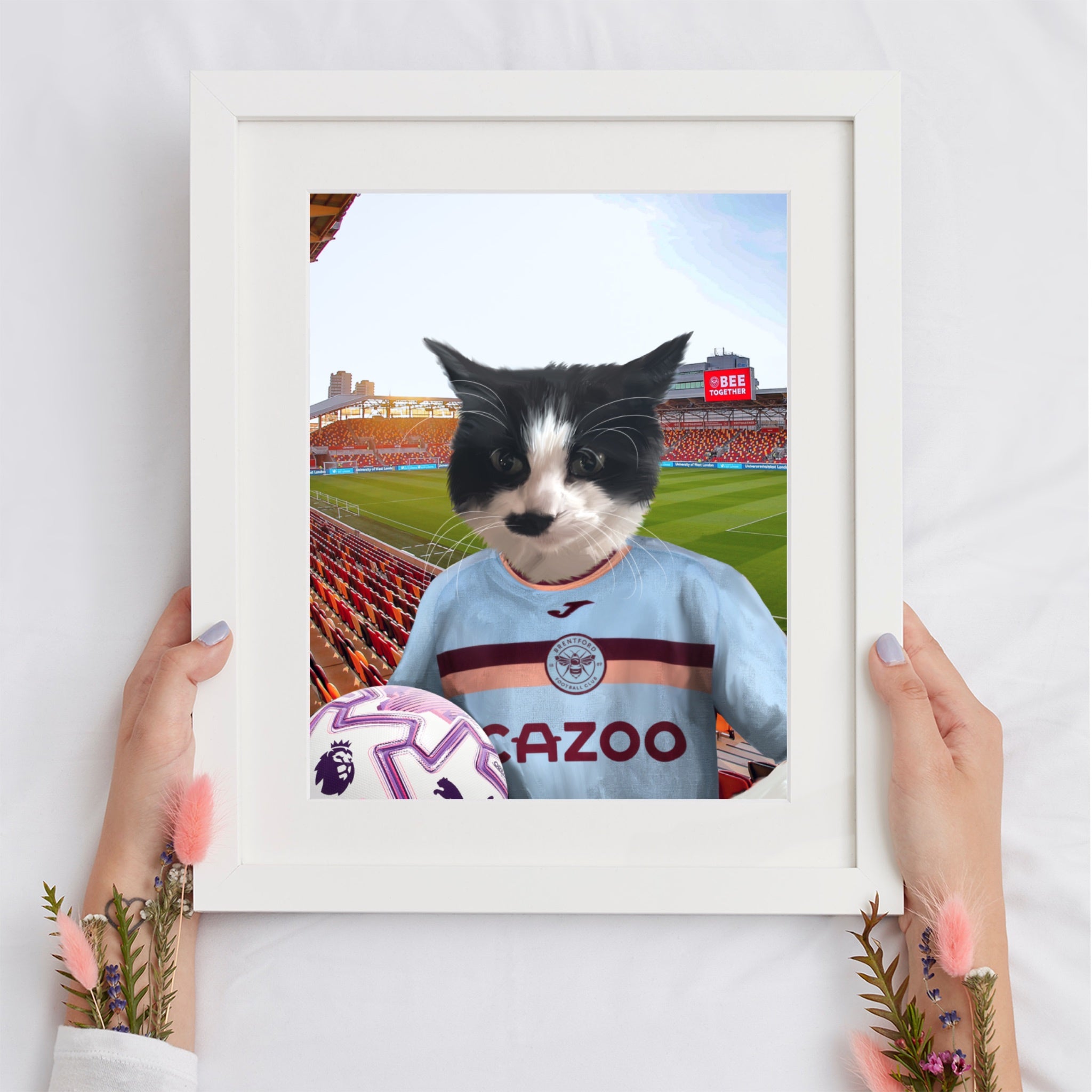 Your Pet in a Brentford FC 3rd Kids Shirt 2025/26