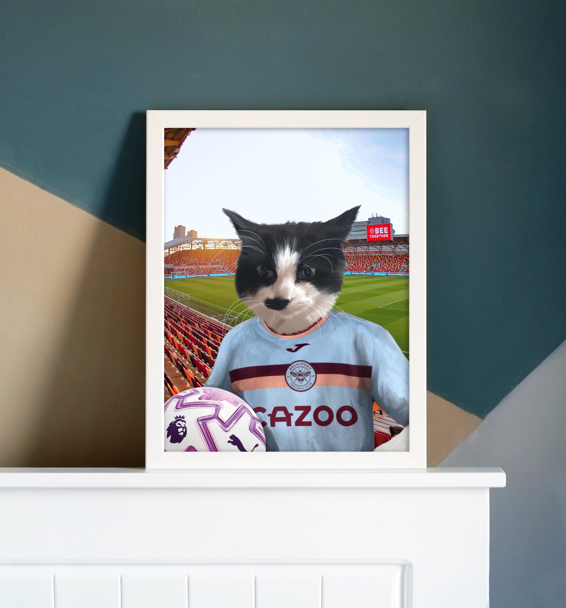 Your Pet in a Brentford FC 3rd Kids Shirt 2025/26