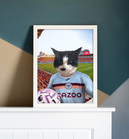 Your Pet in a Brentford FC 3rd Kids Shirt 2025/26