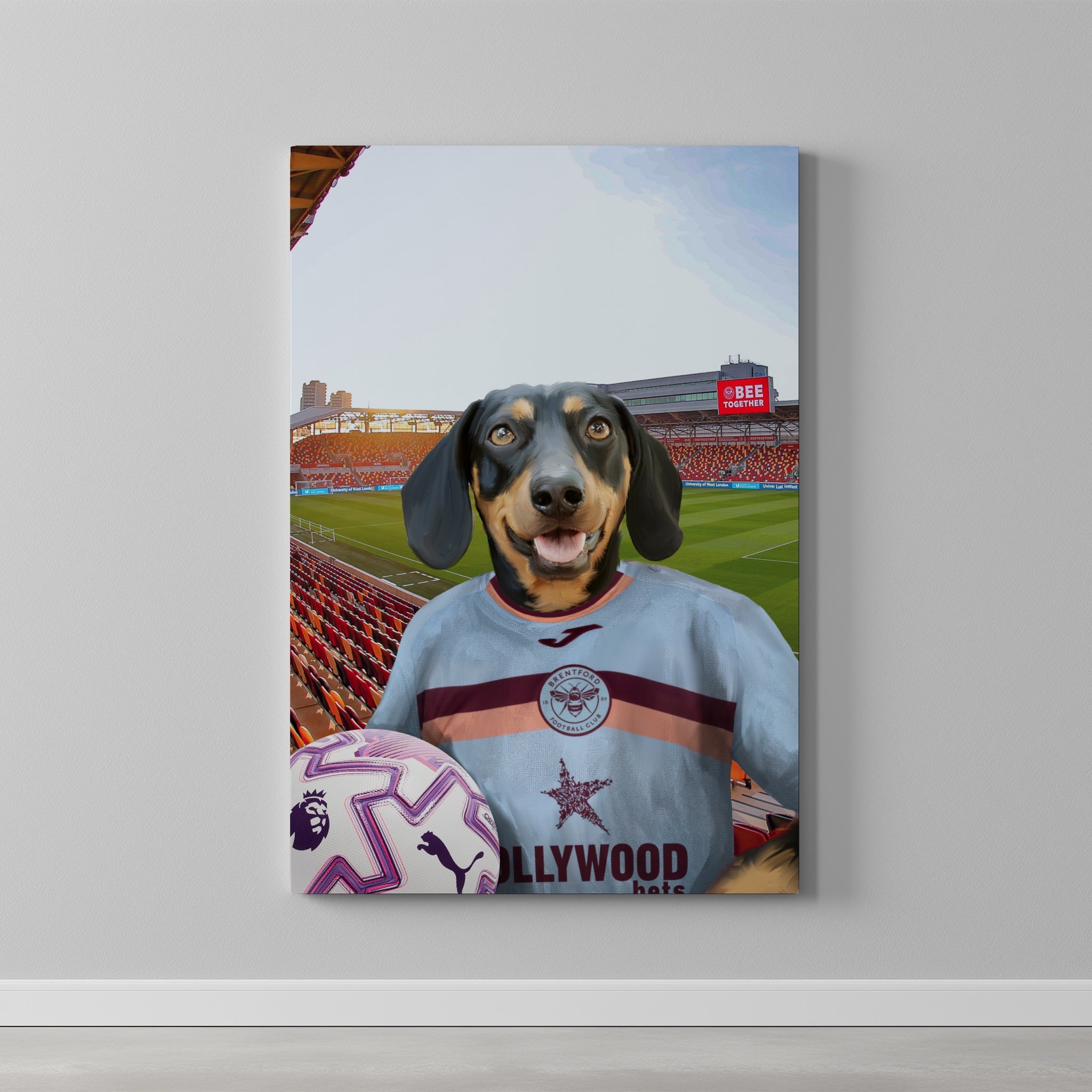 Your Pet in a Brentford FC 3rd Adult Shirt 2025/26