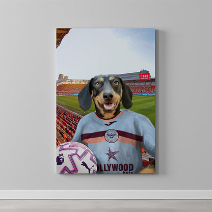 Your Pet in a Brentford FC 3rd Adult Shirt 2025/26