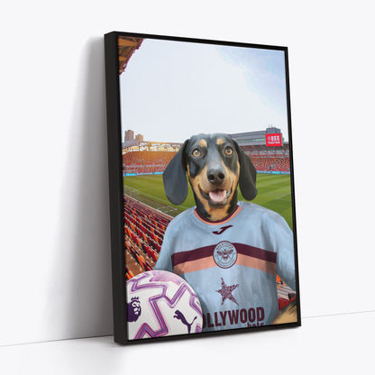 Your Pet in a Brentford FC 3rd Adult Shirt 2025/26