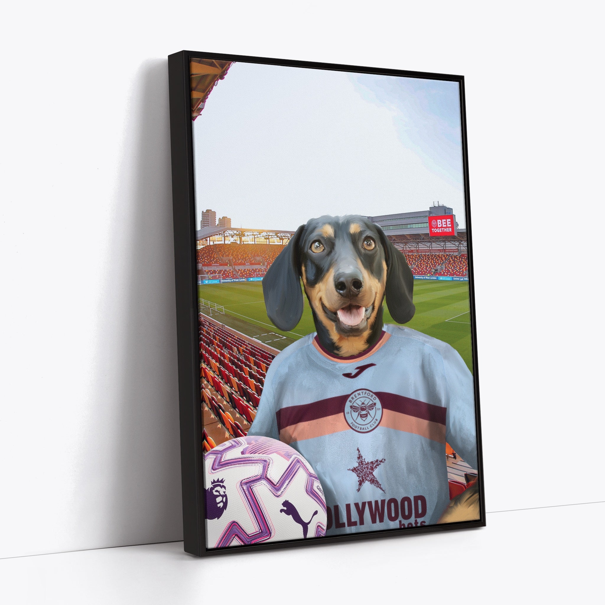 Your Pet in a Brentford 25/26 3rd Shirt NEW