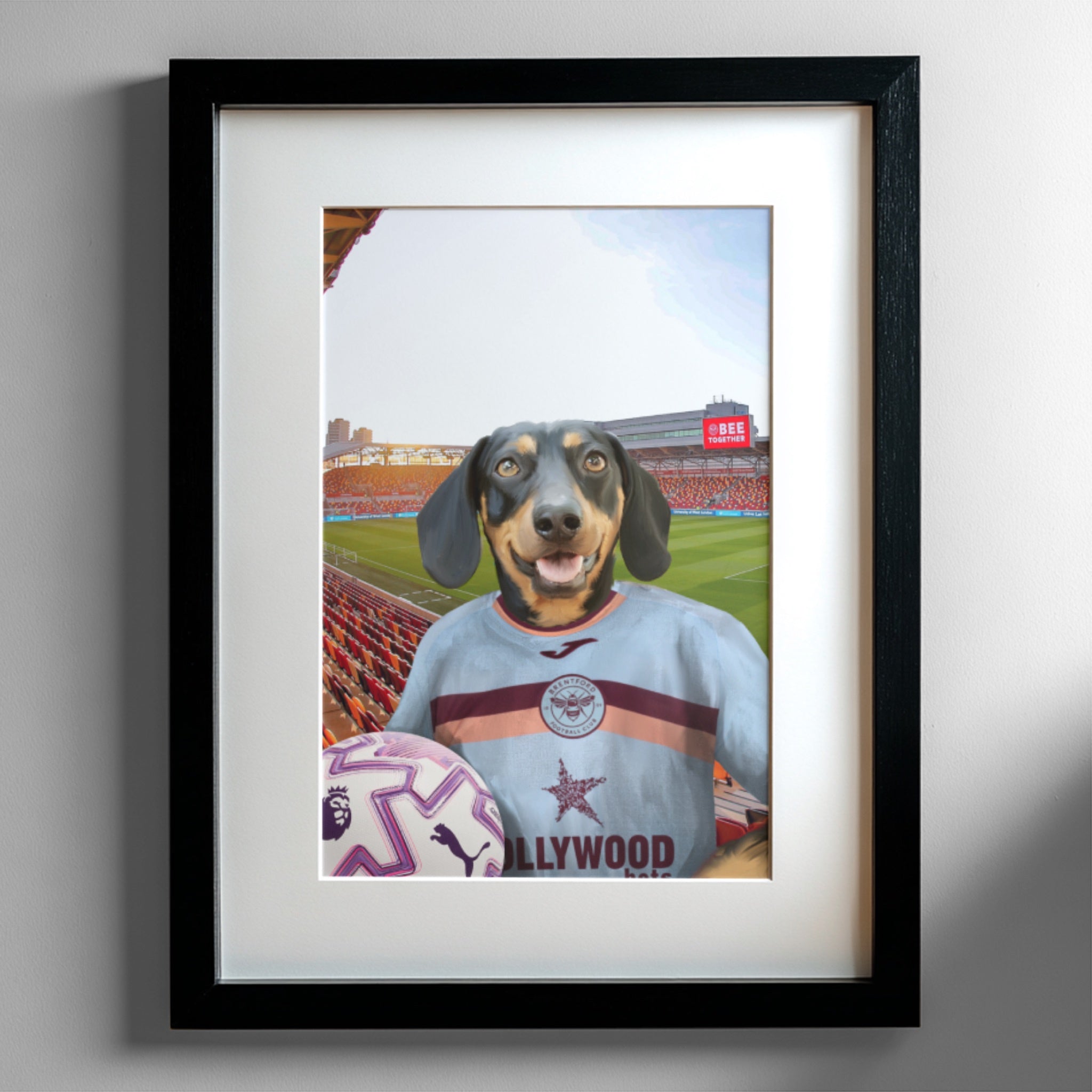 Your Pet in a Brentford FC 3rd Adult Shirt 2025/26