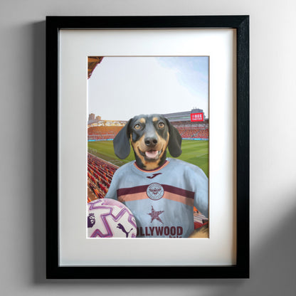 Your Pet in a Brentford FC 3rd Adult Shirt 2025/26
