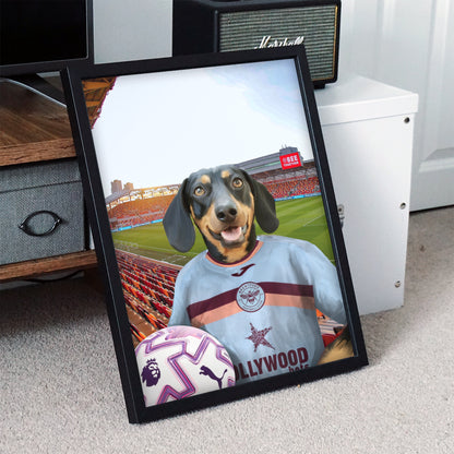 Your Pet in a Brentford 25/26 3rd Shirt NEW