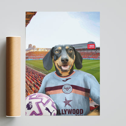 Your Pet in a Brentford 25/26 3rd Shirt NEW