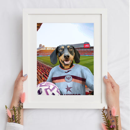 Your Pet in a Brentford FC 3rd Adult Shirt 2025/26