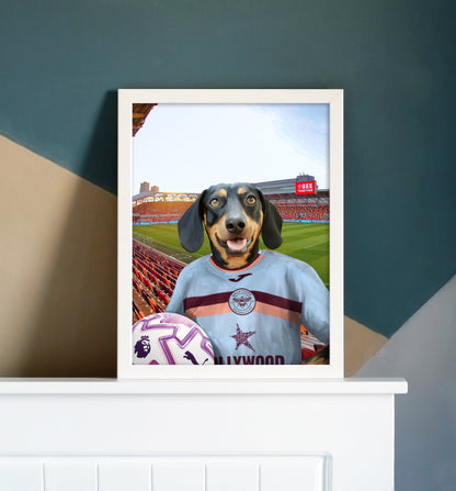 Your Pet in a Brentford 25/26 3rd Shirt NEW
