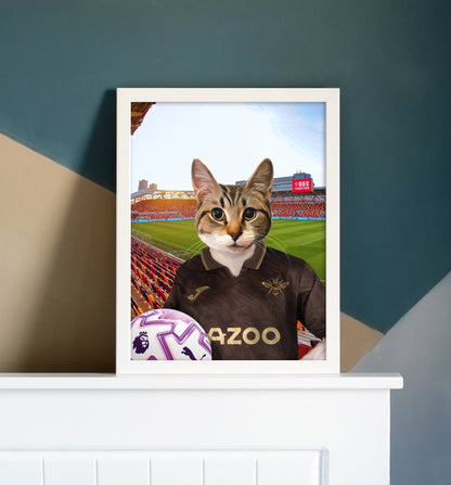 Your Pet in a Brentford FC Away 25/26 Kids Shirt