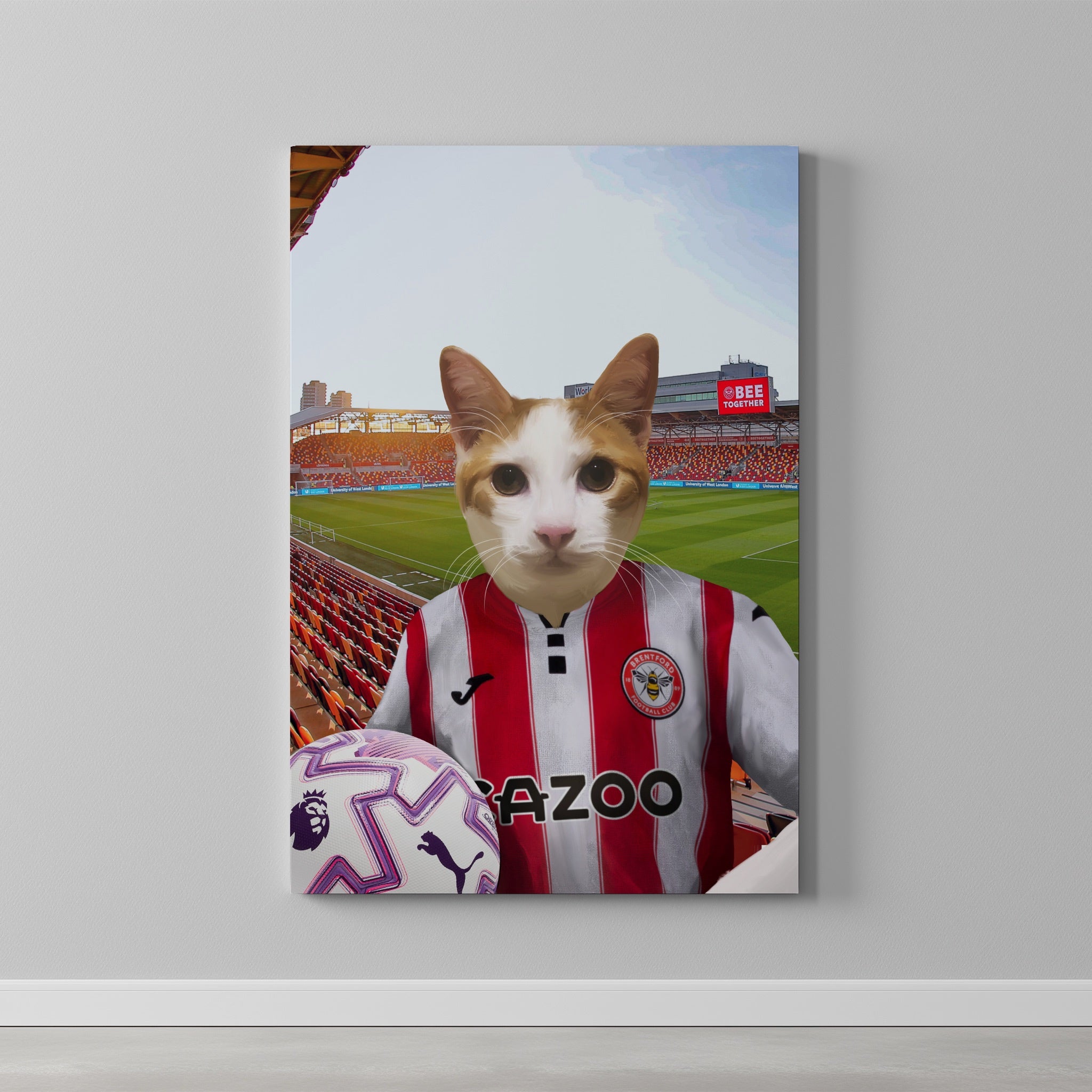 Your Pet in a Brentford FC 25/26 Home Kids Shirt