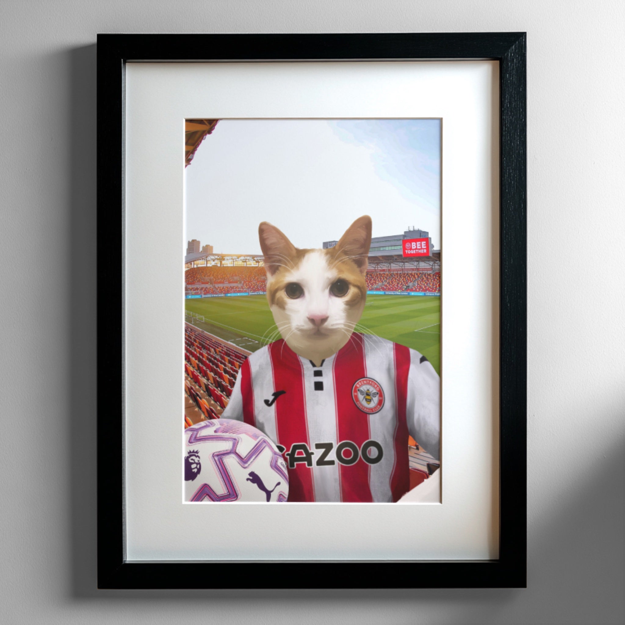 Your Pet in a Brentford FC 25/26 Home Kids Shirt