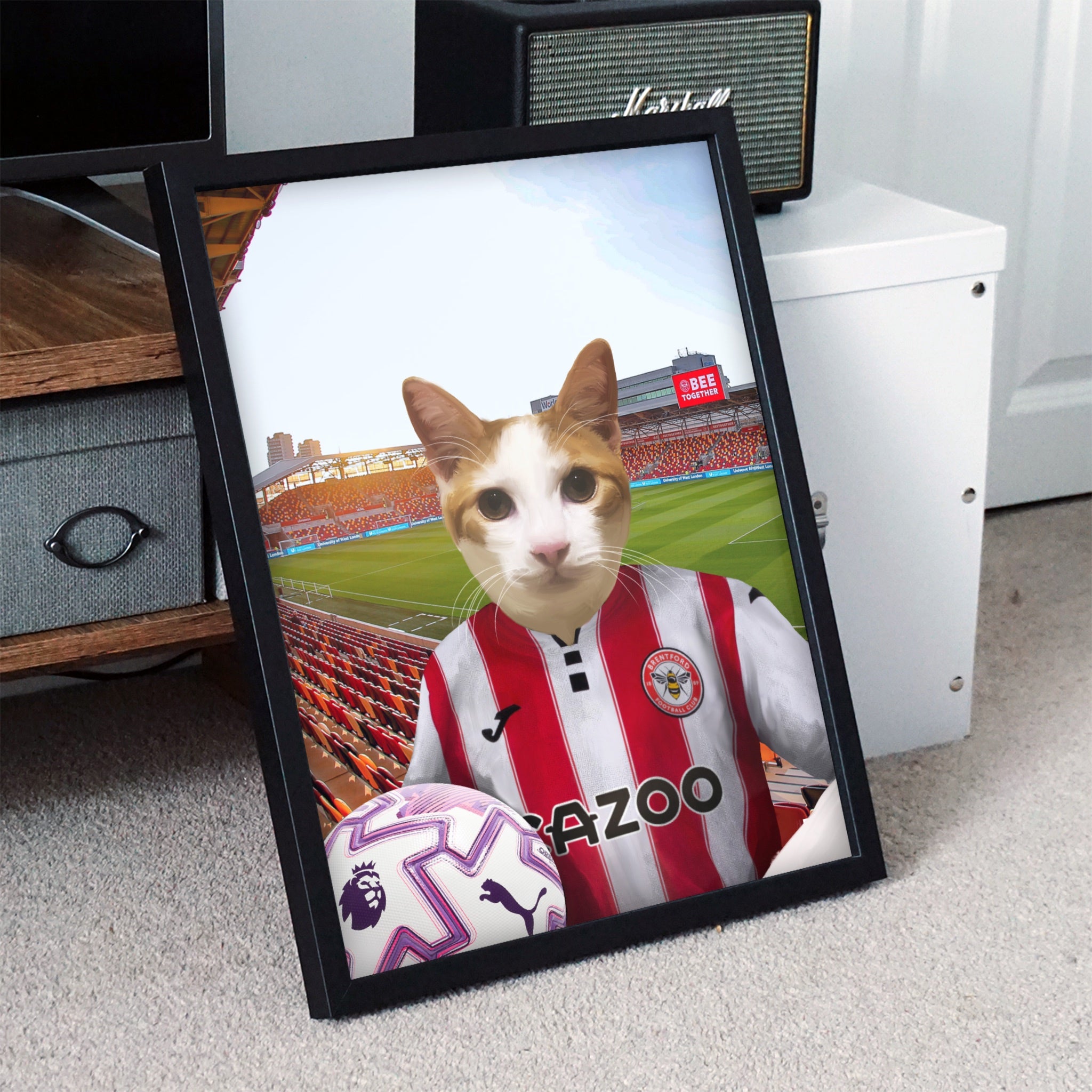 Your Pet in a Brentford FC 25/26 Home Kids Shirt