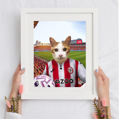 Your Pet in a Brentford FC 25/26 Home Kids Shirt