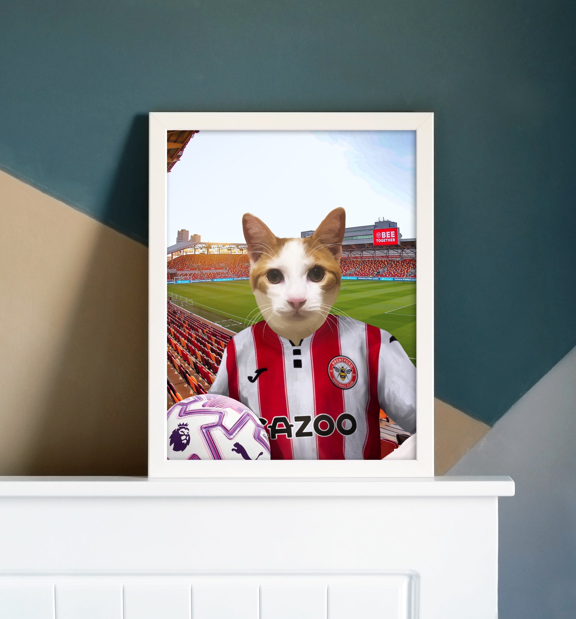 Your Pet in a Brentford FC 25/26 Home Kids Shirt