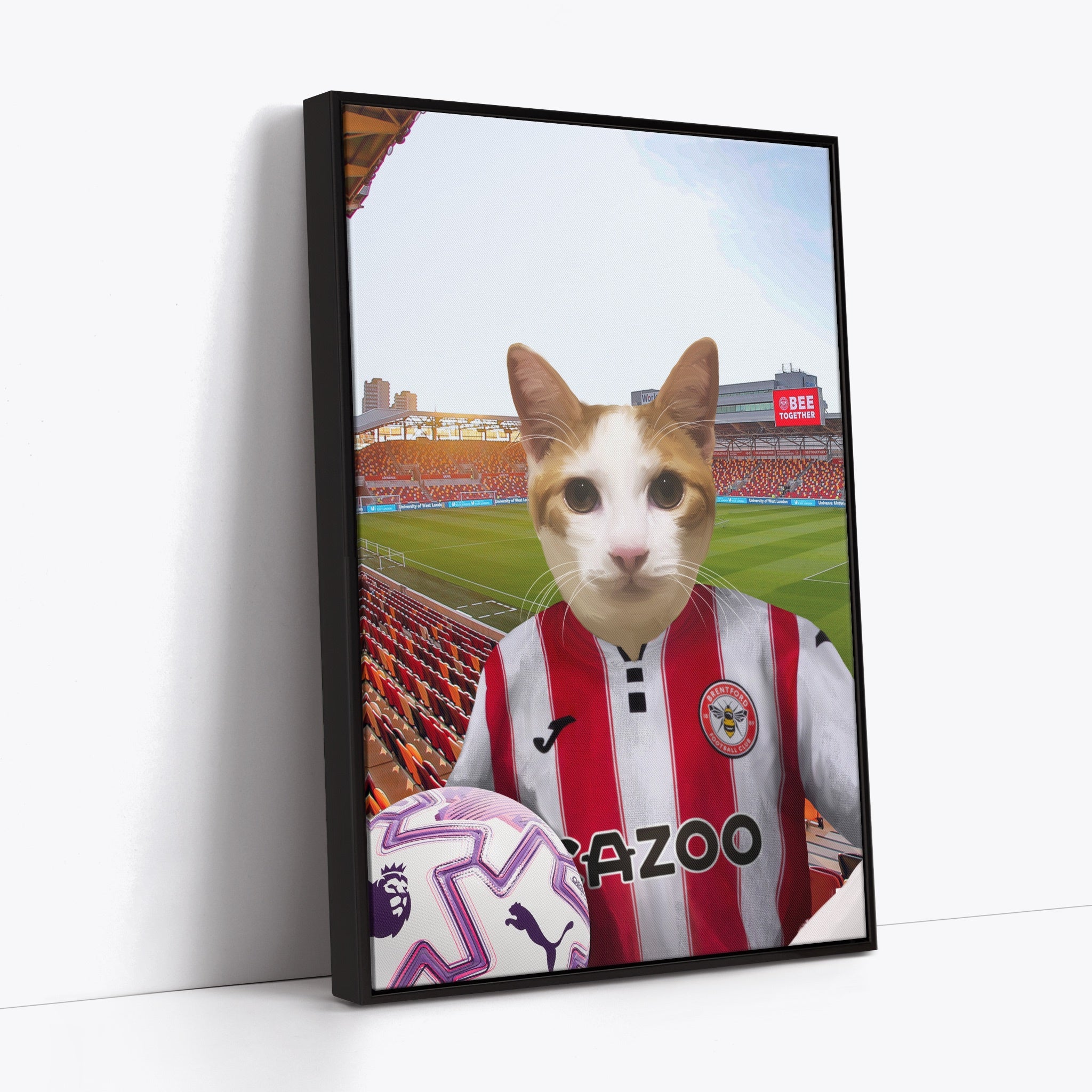 Your Pet in a Brentford FC 25/26 Home Kids Shirt