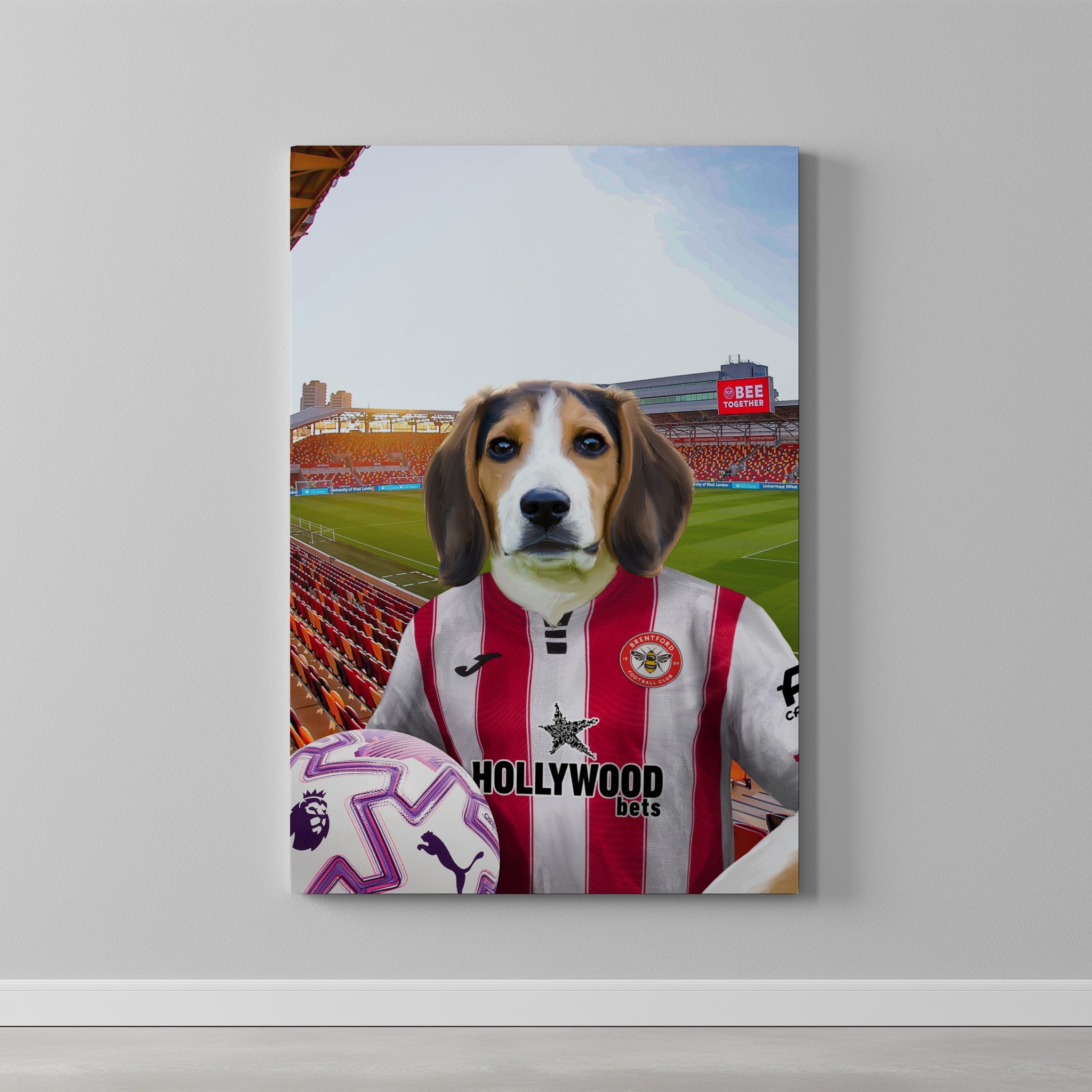 Your Pet in a Brentford FC 25/26 Home Adult Shirt