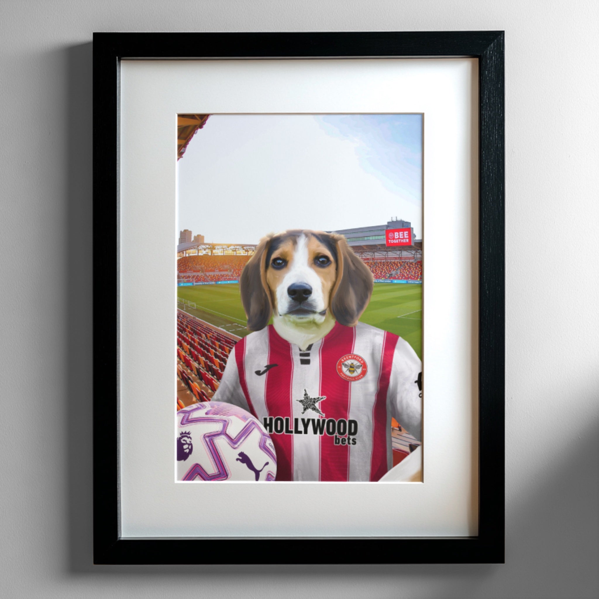 Your Pet in a Brentford FC 25/26 Home Adult Shirt