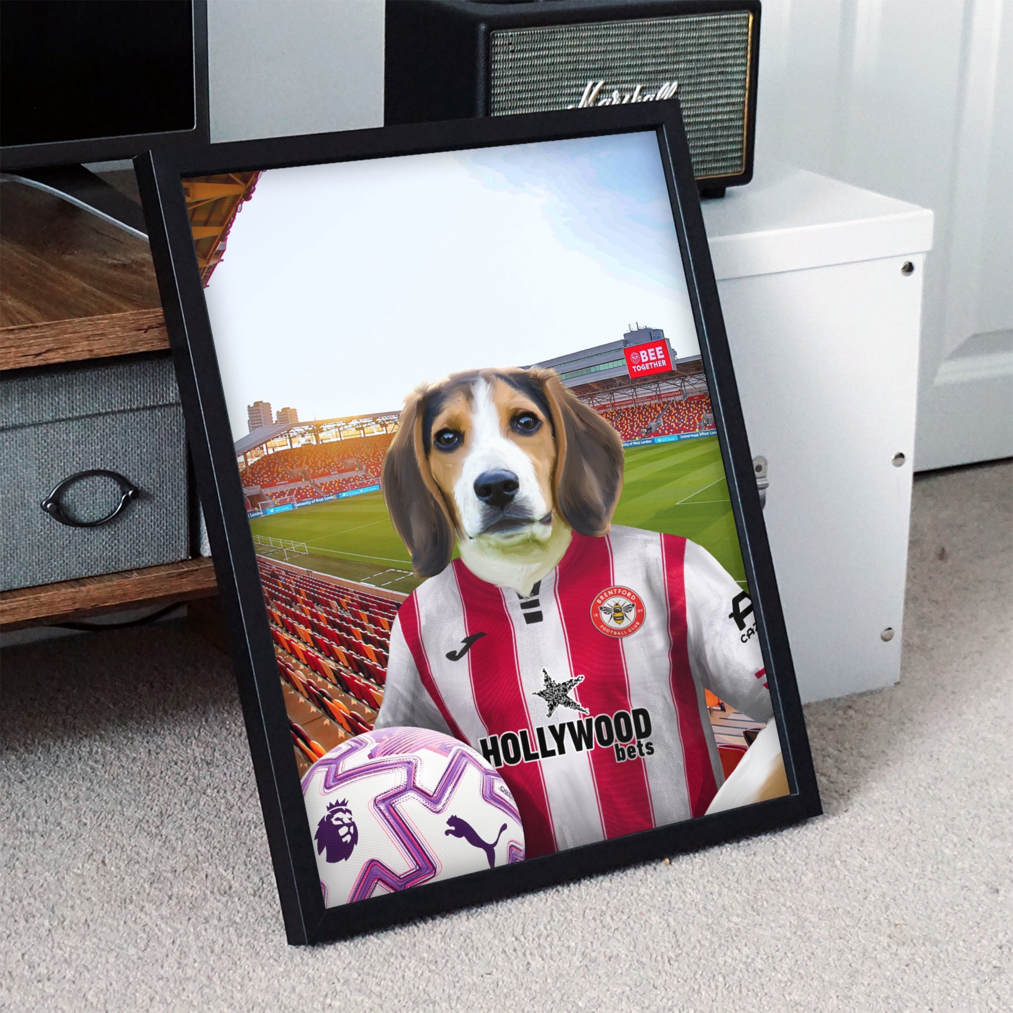Your Pet in a Brentford 25/26 Home Shirt NEW