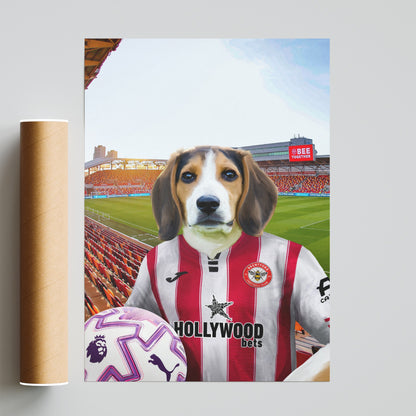 Your Pet in a Brentford 25/26 Home Shirt NEW