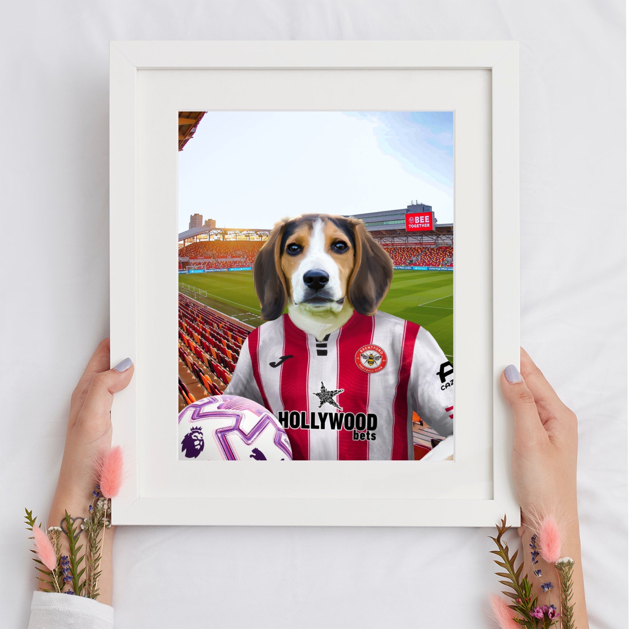 Your Pet in a Brentford FC 25/26 Home Adult Shirt