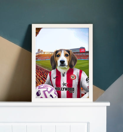 Your Pet in a Brentford FC 25/26 Home Adult Shirt