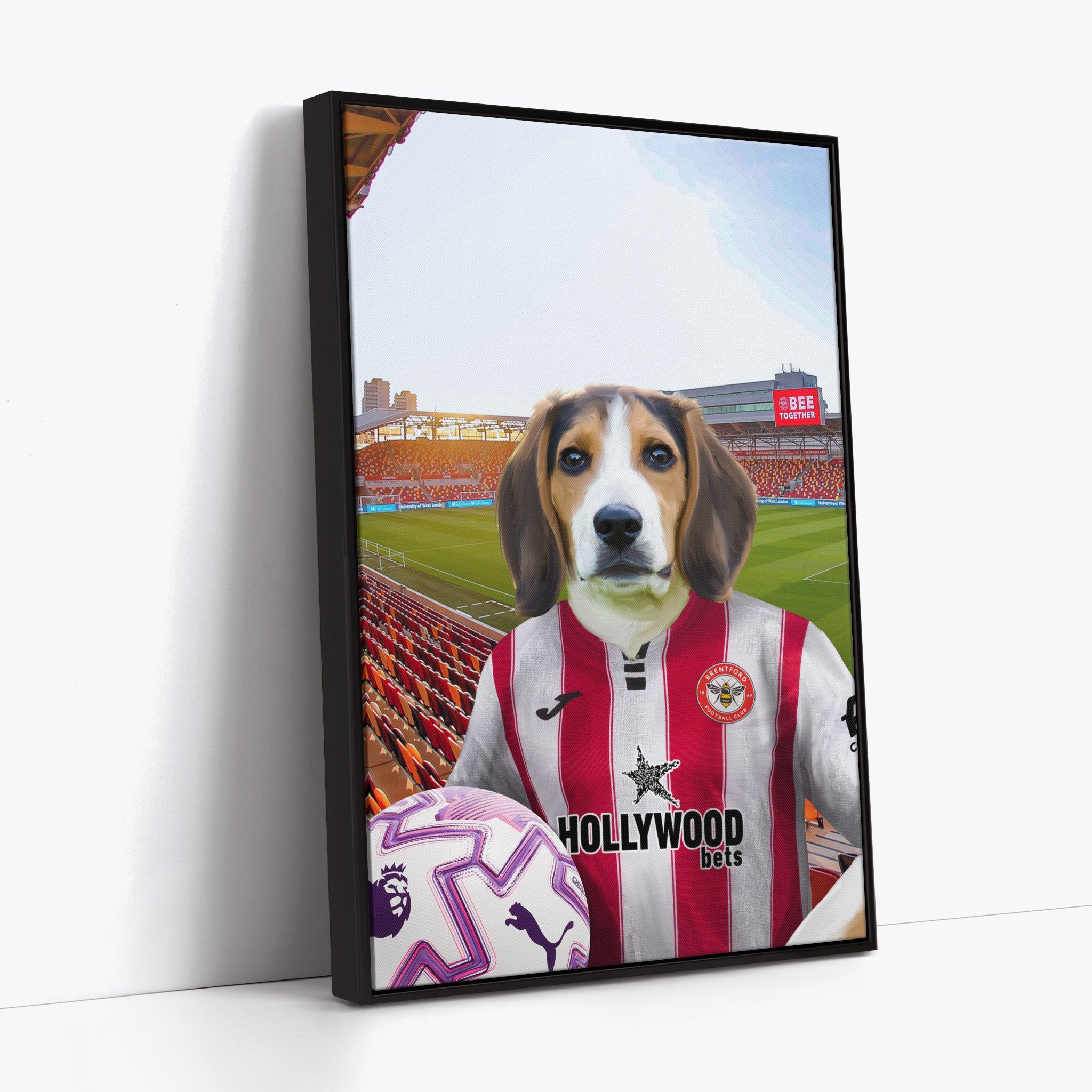 Your Pet in a Brentford 25/26 Home Shirt NEW