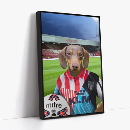 Your Pet in a Brentford Retro Shirt