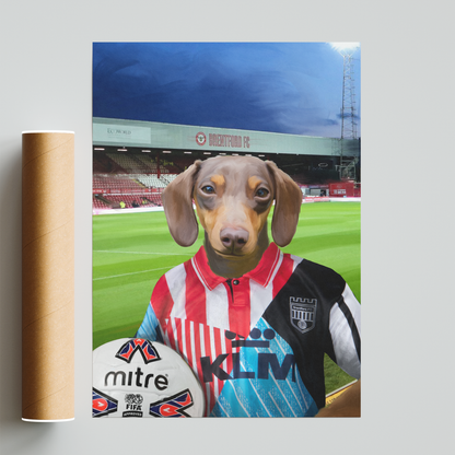 Your Pet in a Brentford Retro Shirt