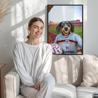 Your Pet in a Brentford FC 3rd Adult Shirt 2025/26