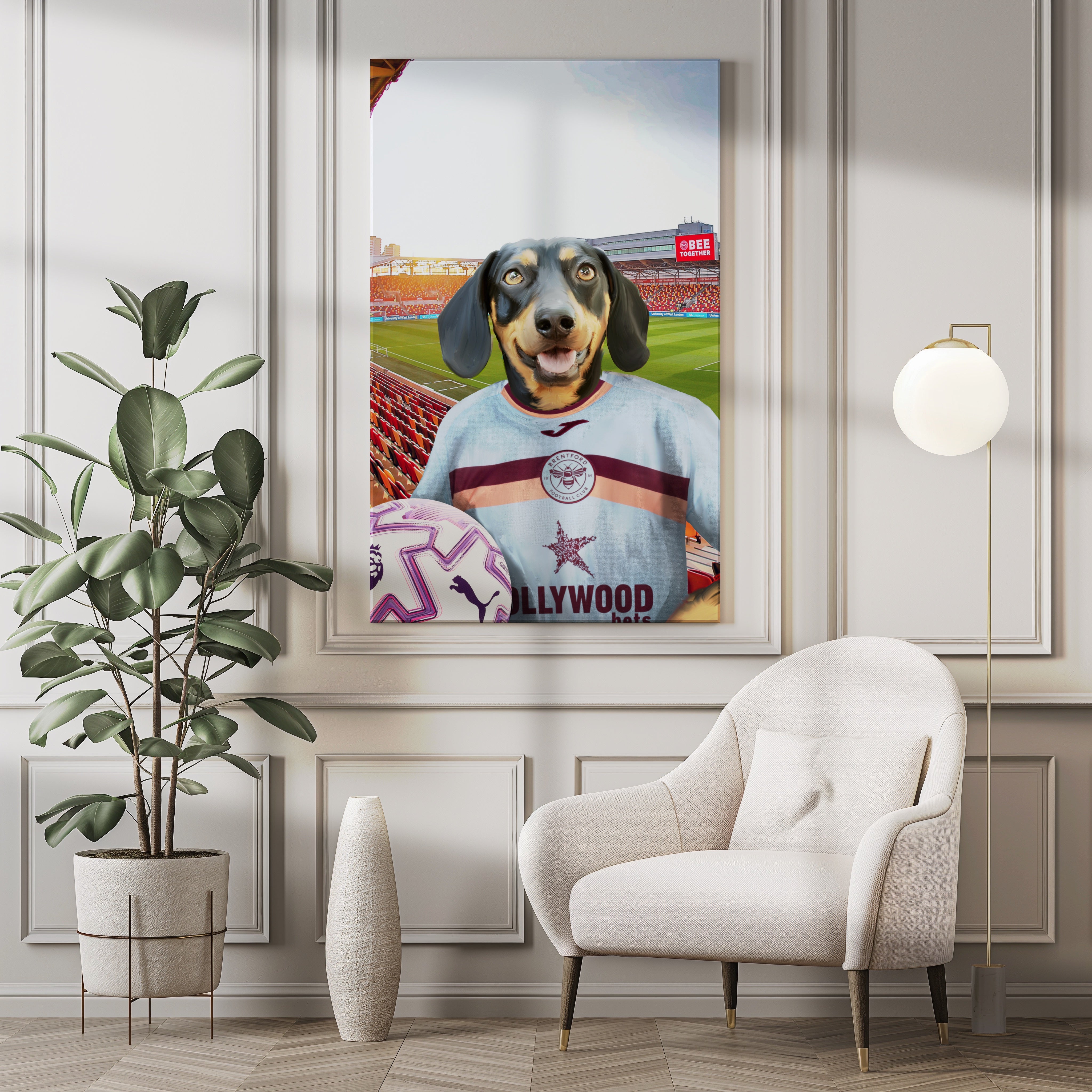 Your Pet in a Brentford FC 3rd Adult Shirt 2025/26
