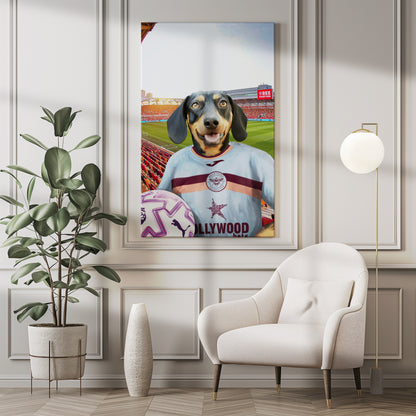 Your Pet in a Brentford FC 3rd Adult Shirt 2025/26